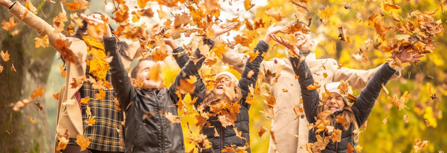 Autumn family banner Killashee Hotel